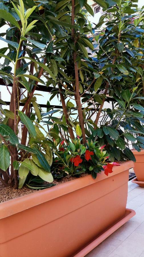 B&B Malaga Salerno Luaran gambar